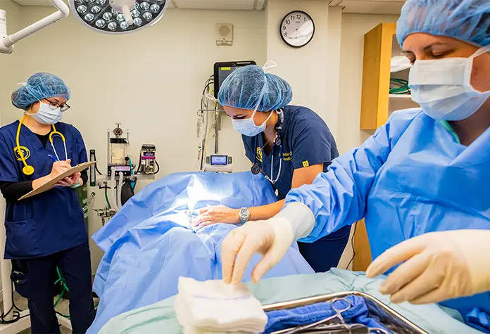 Nursing students in scrubs