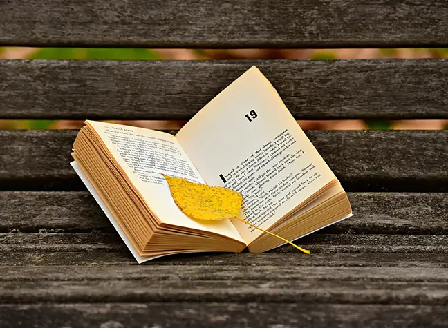 Book that is open at chapter 19 on a wooden table.