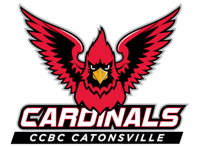 A pitcher practices his throw.