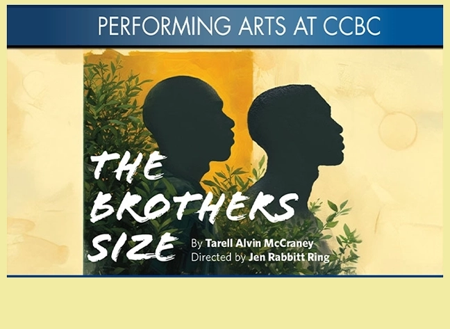 Brothers Size logo