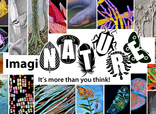 Show card for nature series