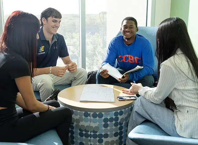 Four students studying together