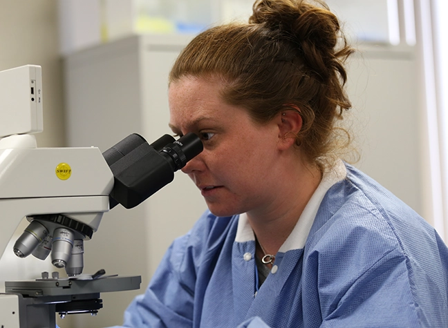 Health Professions Student looking into a microscope