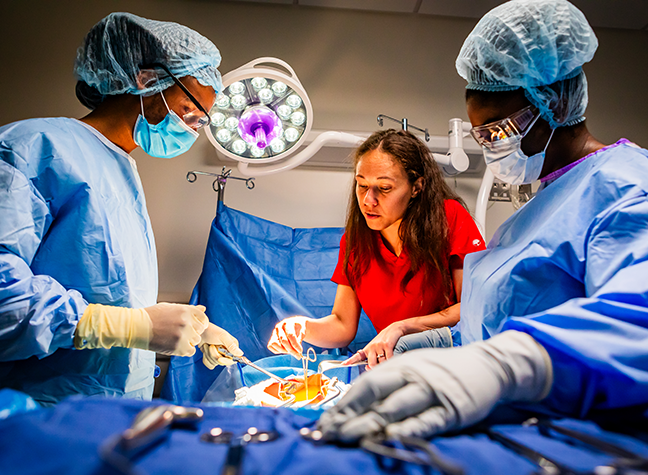 Two surgical technology students learning to identify and prepare surgical tools.