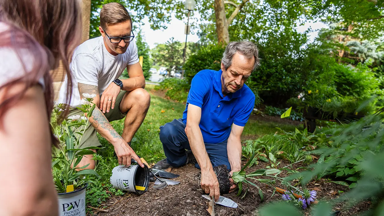 Students planting in a garden