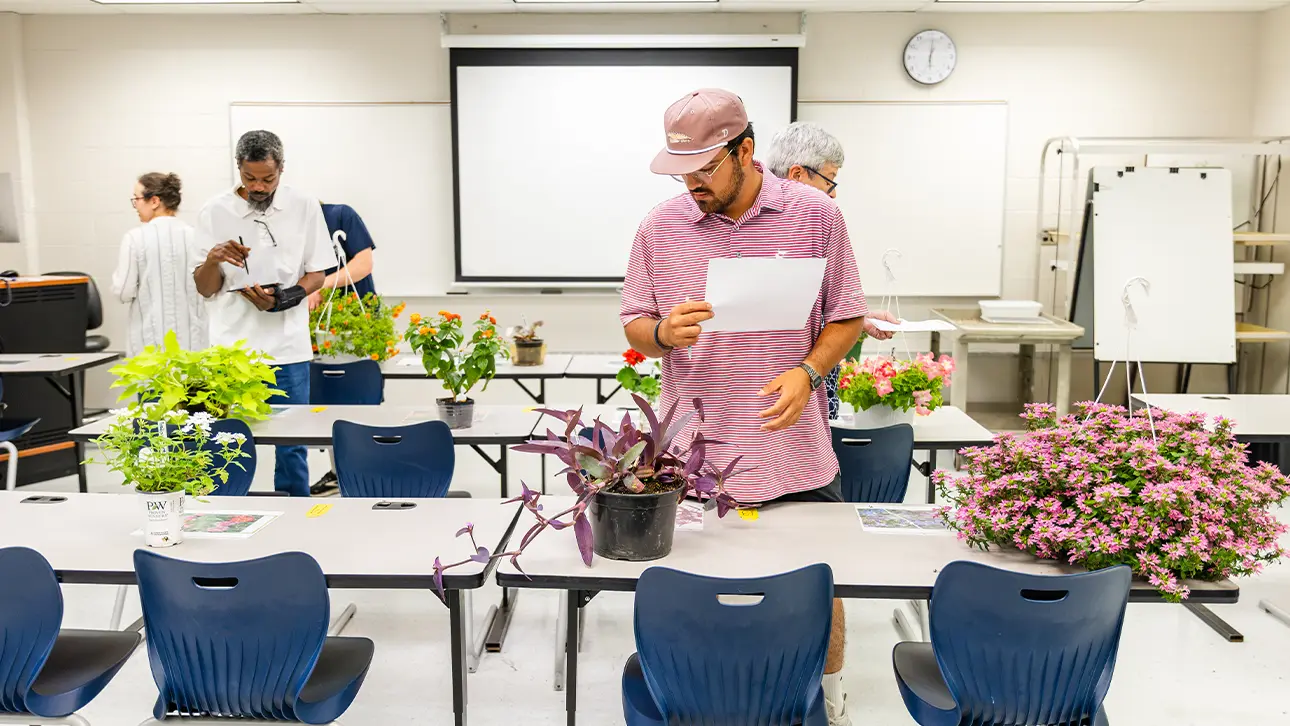 Students examining plants in class