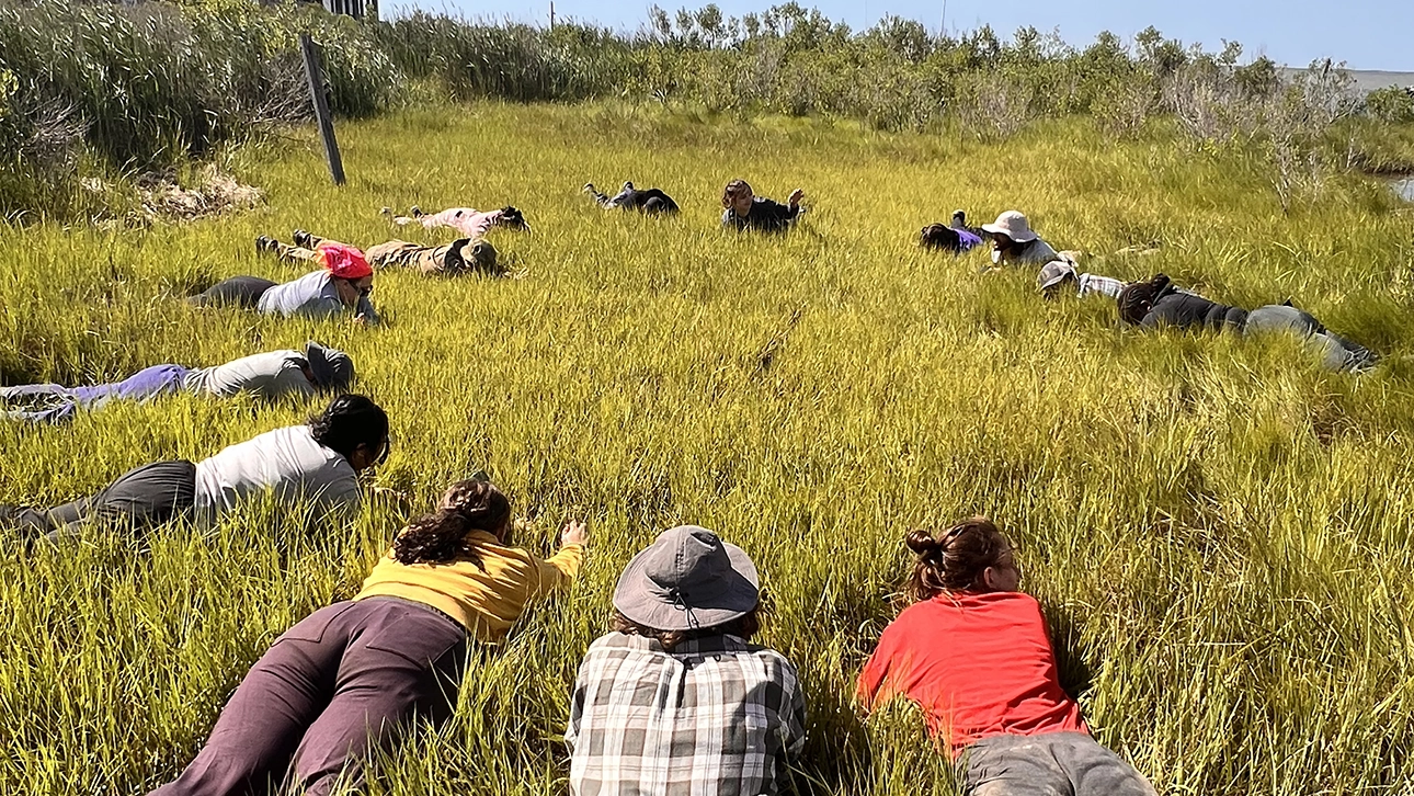 Students attend a experiential learning opportunity at the Chesapeake Bay.